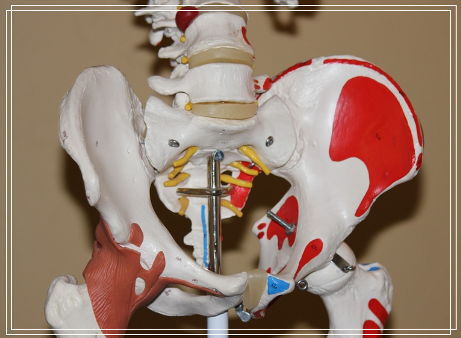 ����C�ۻ�